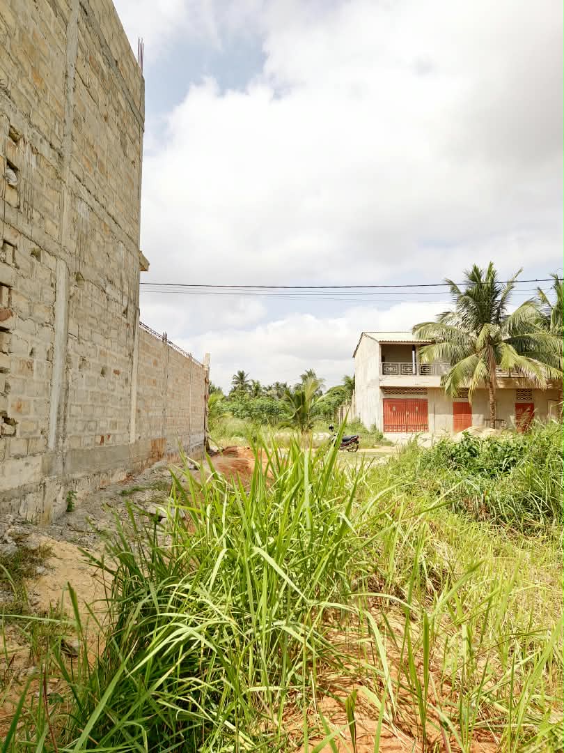 Terrain de 300 m² en vente à Agoè Legbassito Madjikpeto, à 100 m du goudron – 14 millions FCFA