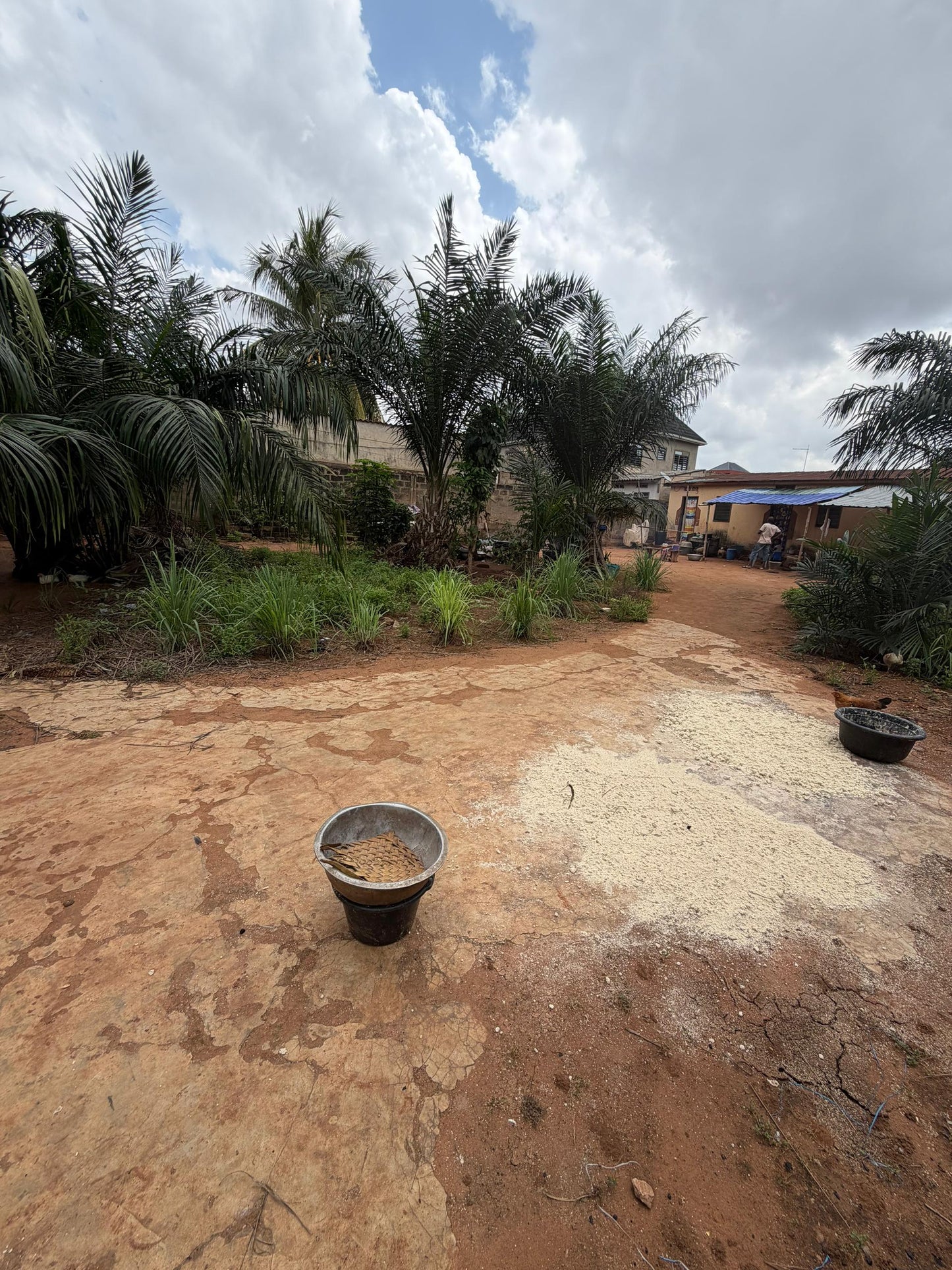Terrain 1 lot en vente à Assigomé École Déo Gracias – 35 millions FCFA