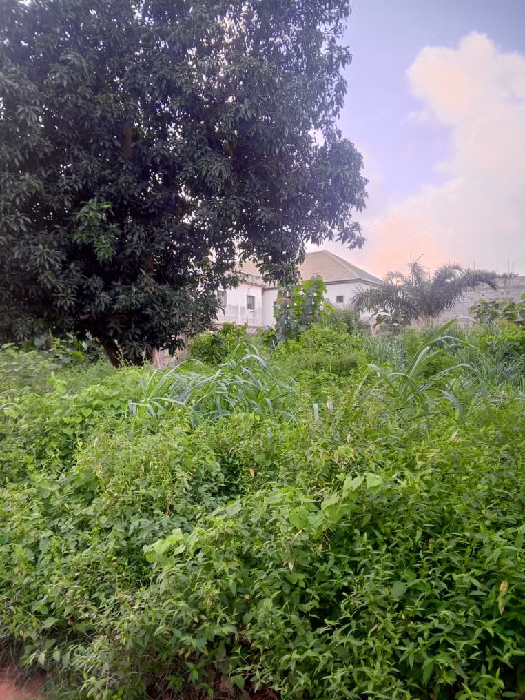 Terrain de 1200 m² en vente en angle de rue à Adidogomé Attigangome – 33 millions FCFA le lot