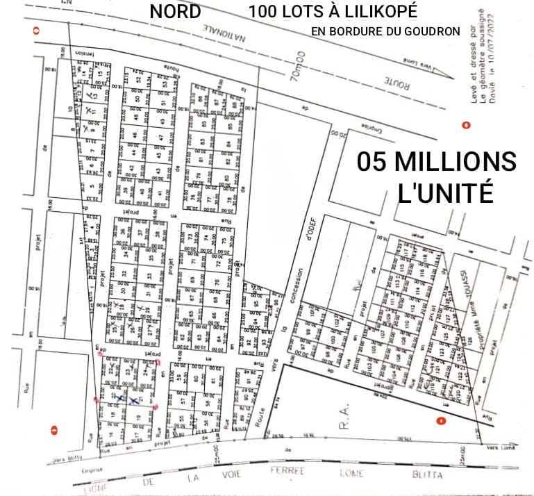 Terrain de 10 hectares en vente en bordure du goudron à Lilikopé – 5 millions FCFA l'unité