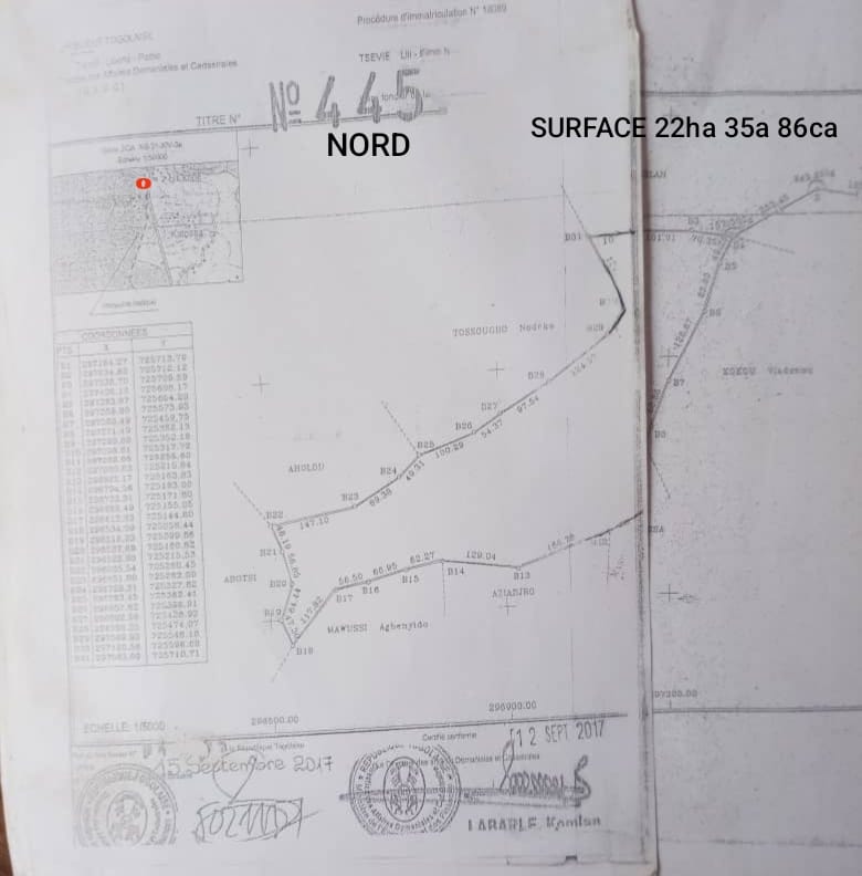 Terrain de 22 hectares en vente à Lilikopé – 10 millions FCFA