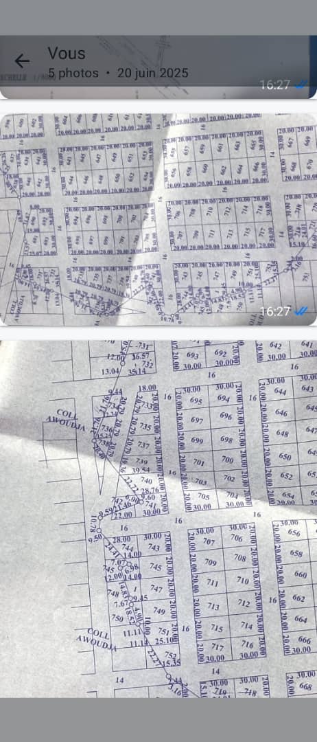 Terrain en vente en bordure de goudron à Zanguera – 30 millions FCFA le lot
