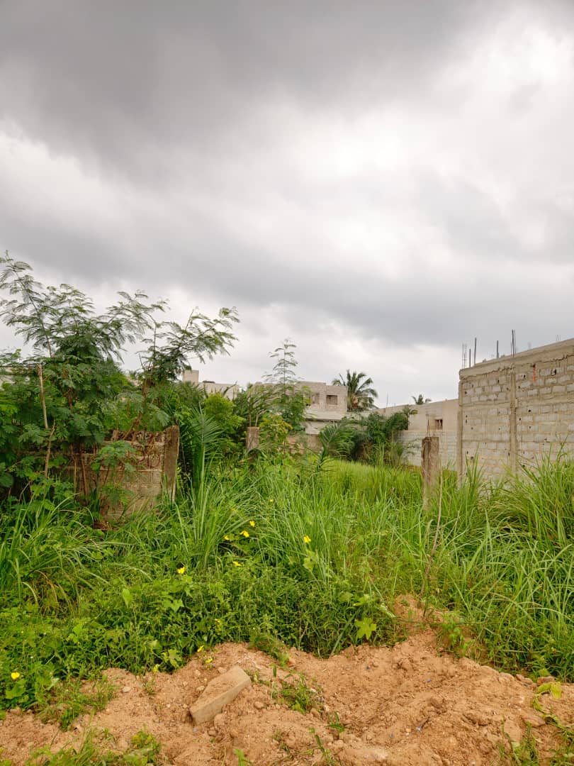 Terrain demi-lot en vente en bordure de grande route à Agoè Sogbossito – 15 millions FCFA