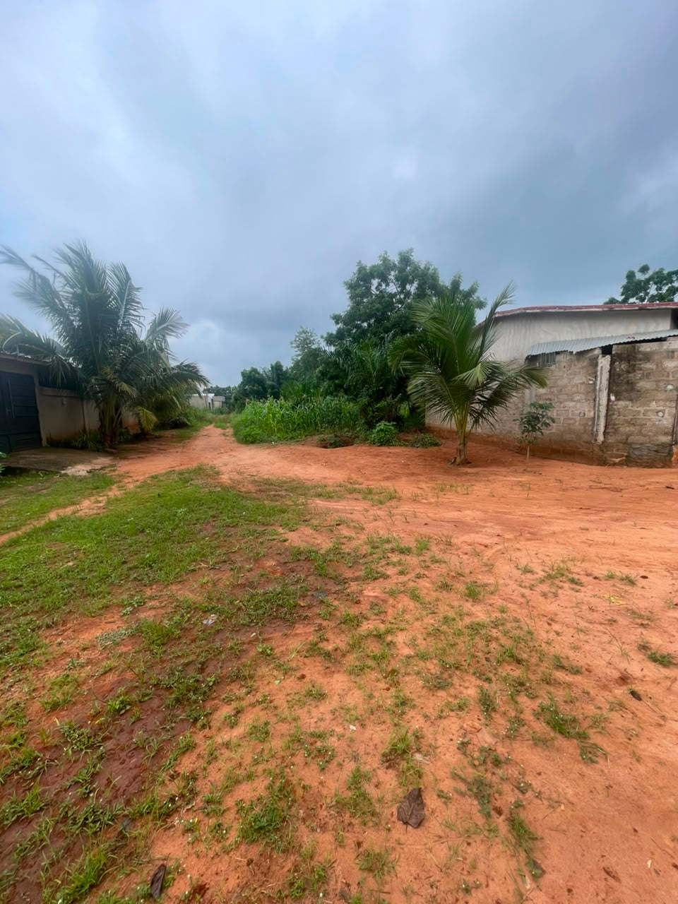 Terrain de 150 m² en vente à Zanguera – 3 500 000 FCFA