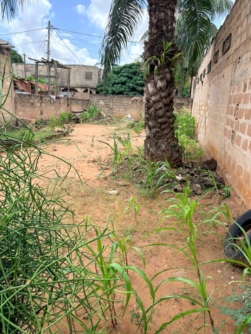 Terrain d'un demi lot clôturé en vente à Totsi Gblinkome – 25 millions FCFA