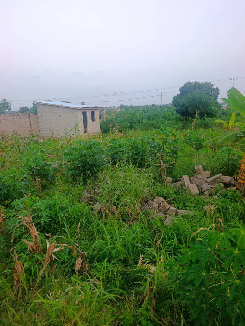 Terrain demi lot en vente à Dangbéssito – 15 millions FCFA