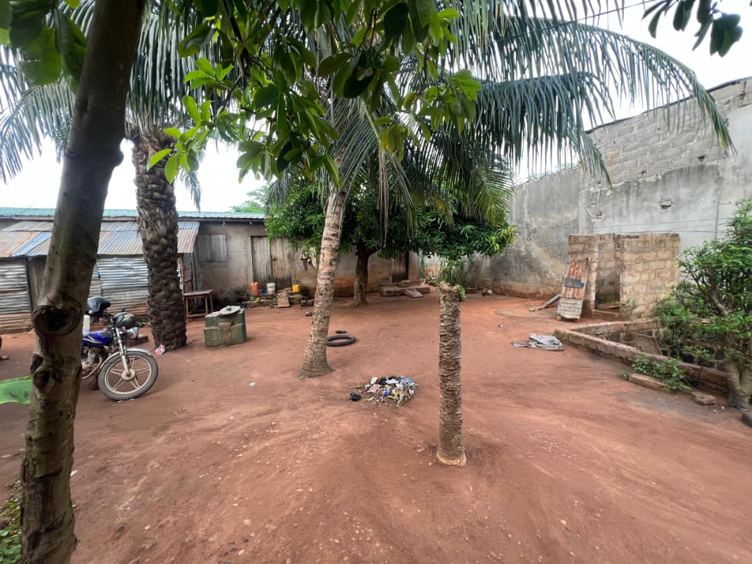 Terrain d'environ 481 m² en vente à Agoè Légbassito Avinato – 17.000.000 FCFA