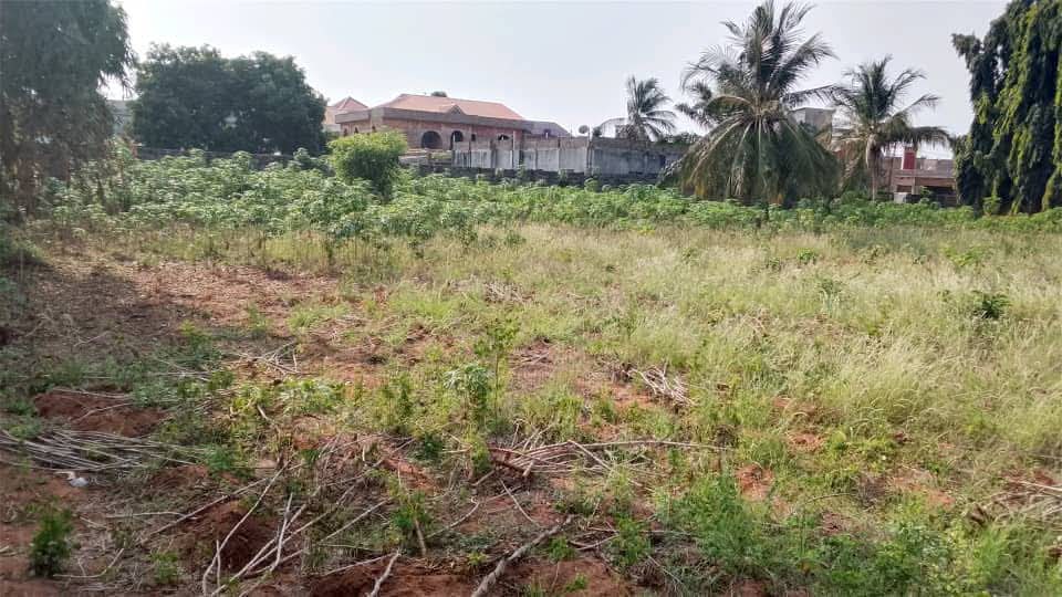 Demi lot en vente à Adidogomé Yokoe Catholique – 13 millions FCFA
