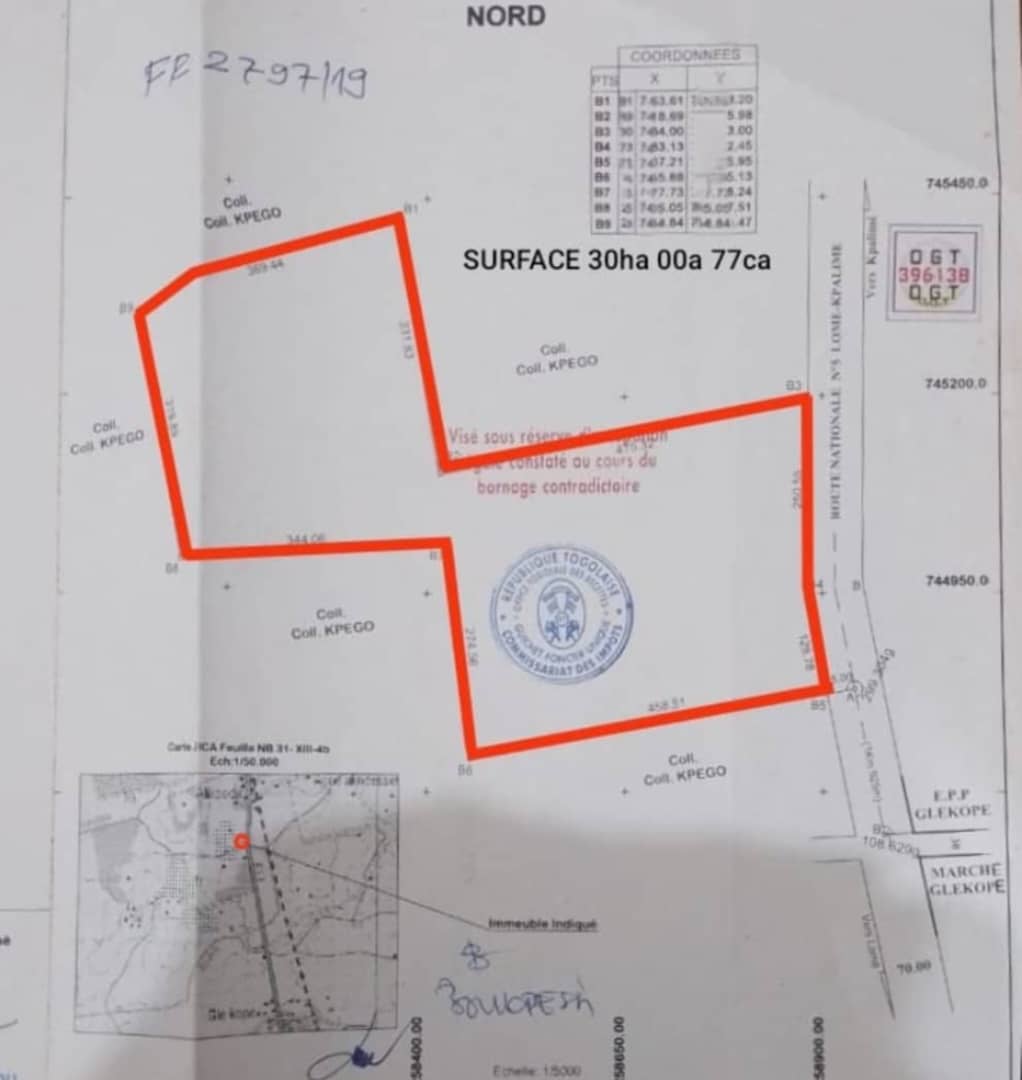 Terrain de 30 hectares en vente en bordure du goudron à Glékopé – 6 millions FCFA l'hectare