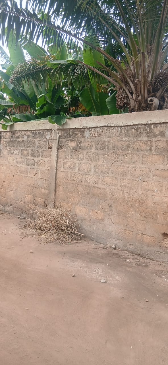 Terrain de 150 m² en vente à Derrière l'entrée de l'Union – 8,5 millions FCFA