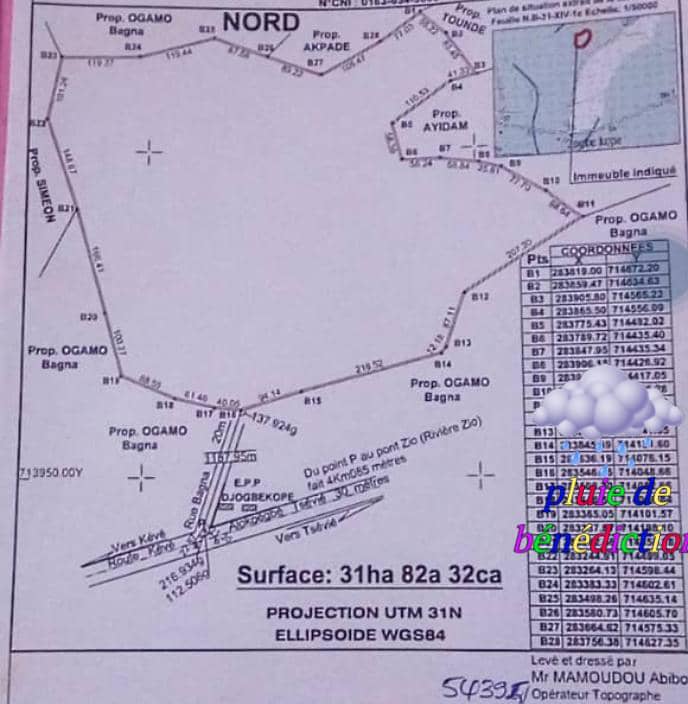 Terrain de 30 hectares en vente à Tsevie Alokoègbé – 100 millions FCFA l'hectare