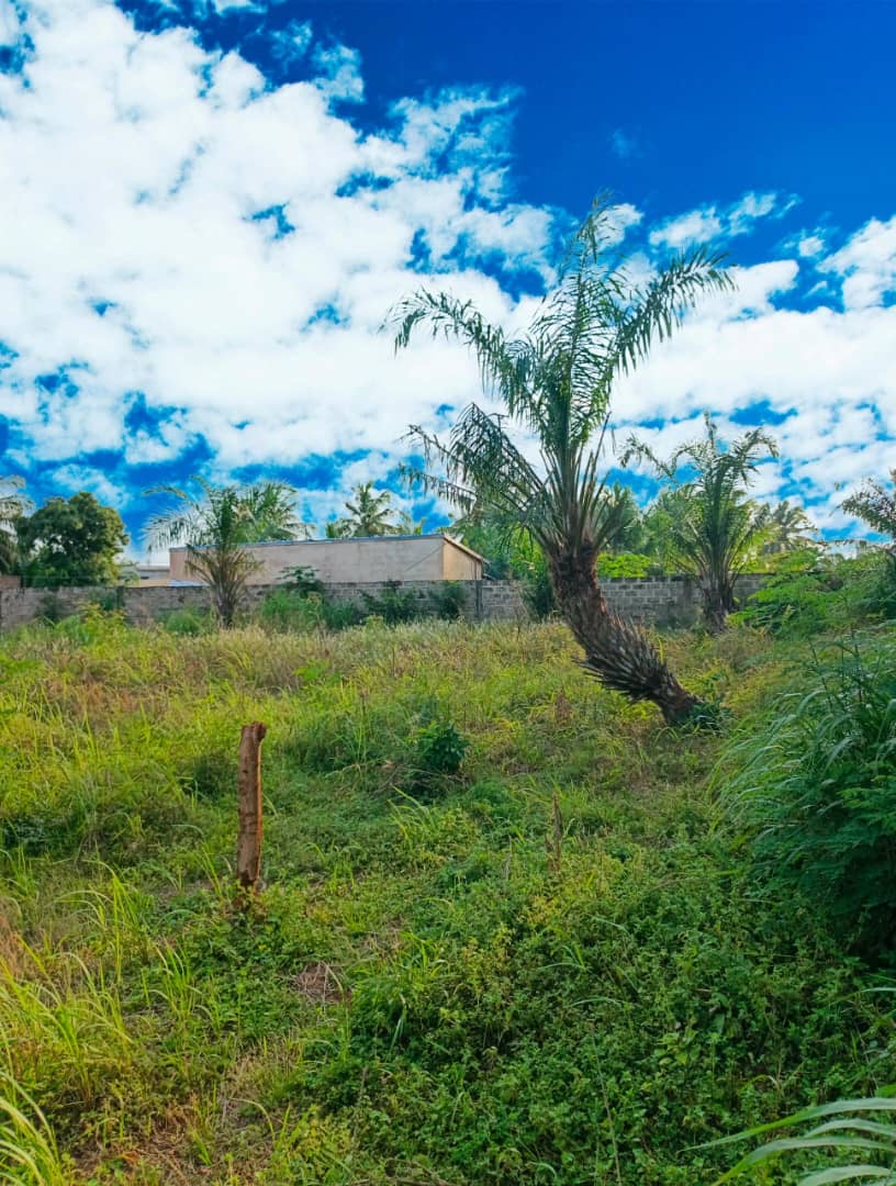 Terrain à vendre à Zanguera – 16 Millions FCFA