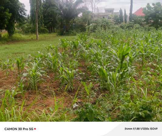 TERRAINS À VENDRE À LÉGBASSITO BOKPOKO – 12 LOTS CÔTÉ ANGLE | À PARTIR DE 20 MILLIONS FCFA