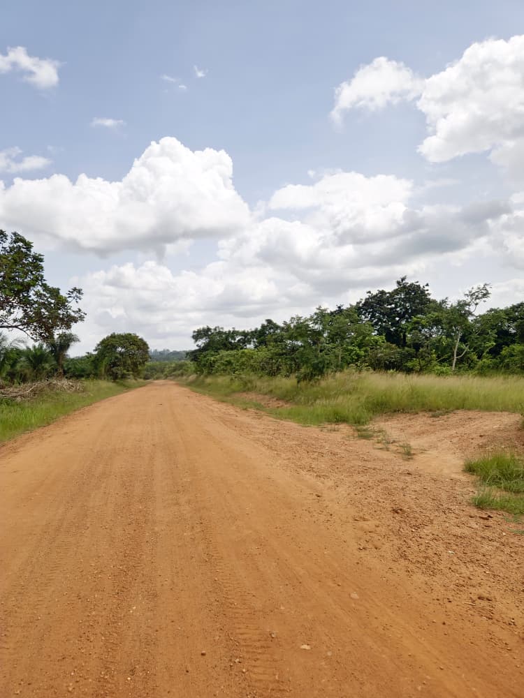 Terrain de 35 hectares en vente à Kevé Dzolo – 1.800.000 FCFA par hectare