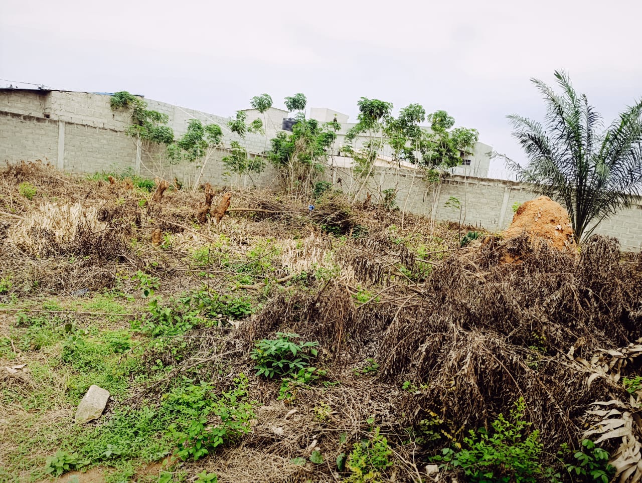 Terrain de 798 m² en vente en angle de rue à Zossimé Zopomahe - 30 millions FCFA