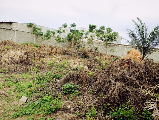 Terrain de 798 m² en vente en angle de rue à Zossimé Zopomahe - 30 millions FCFA