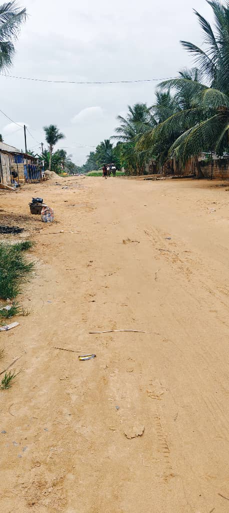 Terrain 2 lots collés en vente à Zanguéra – 25 millions FCFA le lot