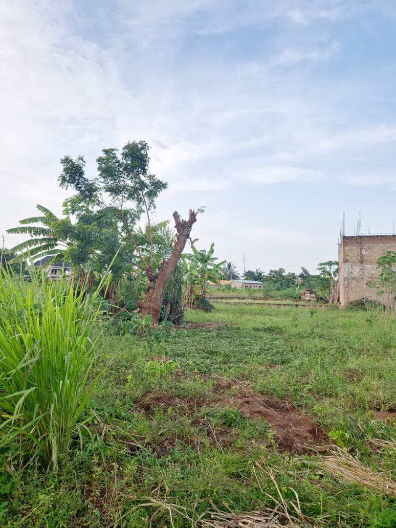 Terrain de 1060 m² en vente à Apéssito derrière Station Sadko – 25 000 000 FCFA