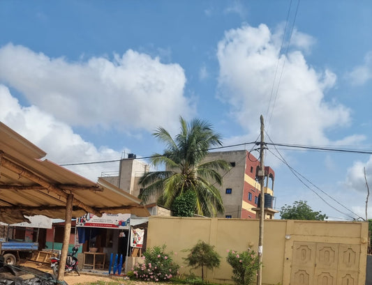Terrain de 207 m² en vente en bord du goudron à Zanguéra Marché – 35.000.000 FCFA