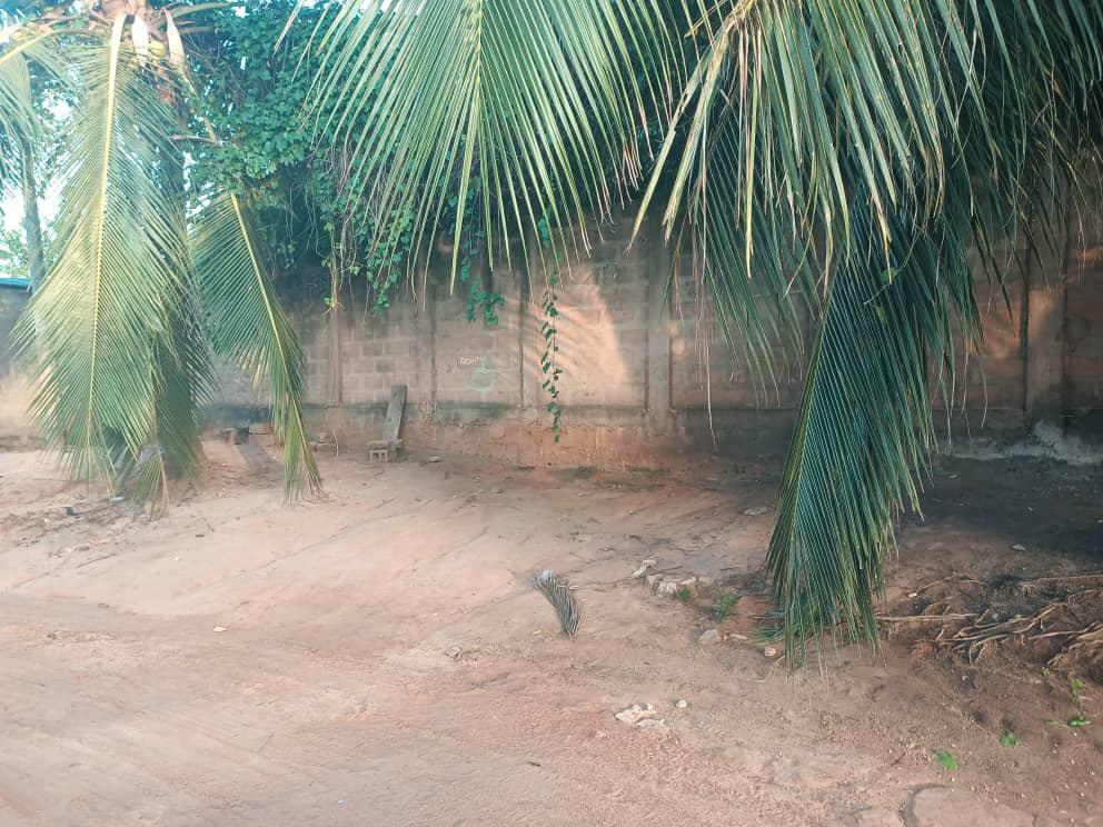 Terrain d'un lot clôturé et vide en vente à Kohé Adjarité Ecole Caméléon – 16 millions FCFA