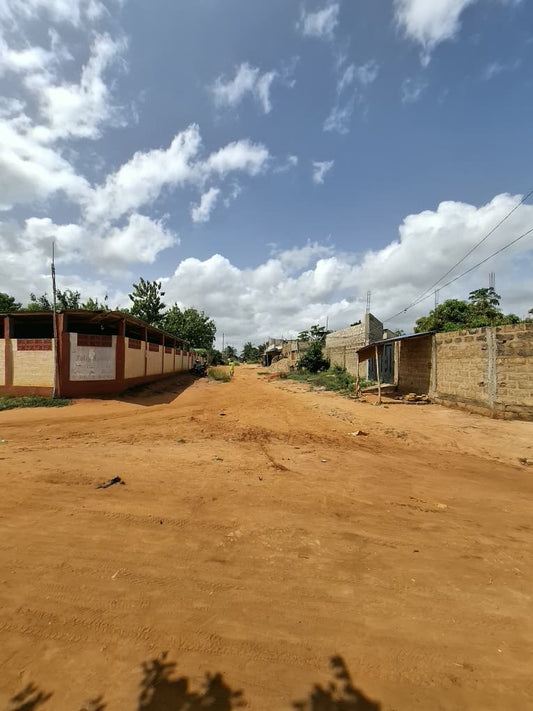 Terrain clôturé en angle de rue en vente à Ségbé Klémé Kpodji – 21.000.000 FCFA