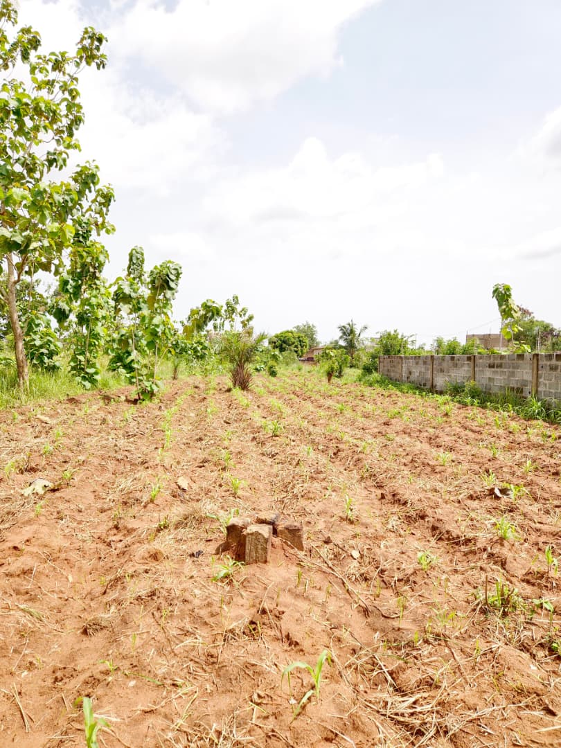 Terrain en vente à Kpala – 8.000.000 FCFA