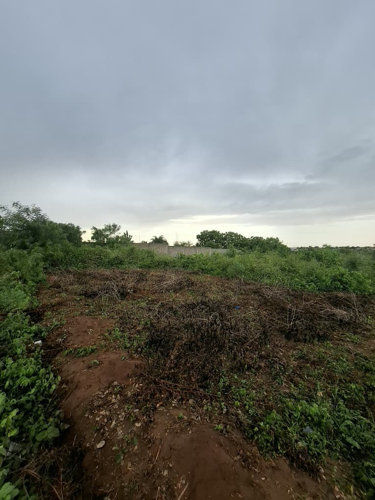 Terrain de 300 m² en vente à Aképé Péage sur la déviation – 6,5 millions FCFA