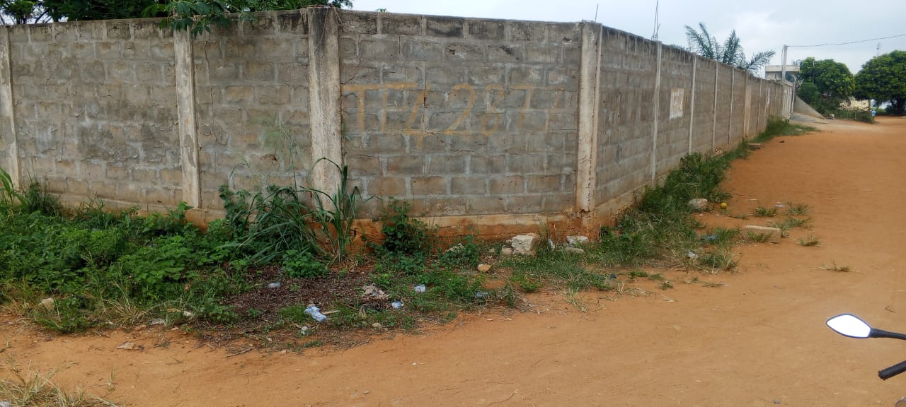 Terrain à vendre à Zanguéra – 30 Millions FCFA