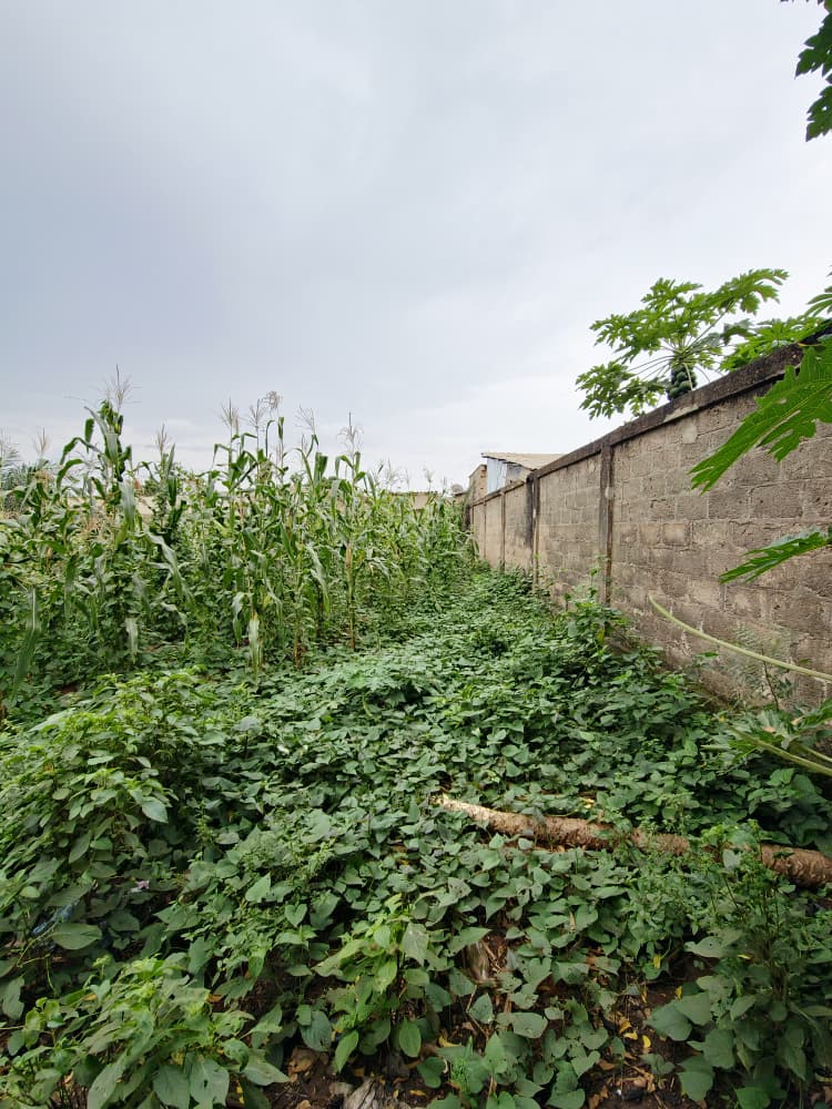 Terrain à vendre à Légbassito – 35 Millions FCFA