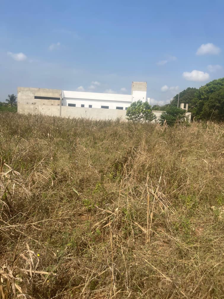 Terrain de 1200 m² en vente en bord du goudron à Aného – Prix à partir de 11 millions FCFA le lot