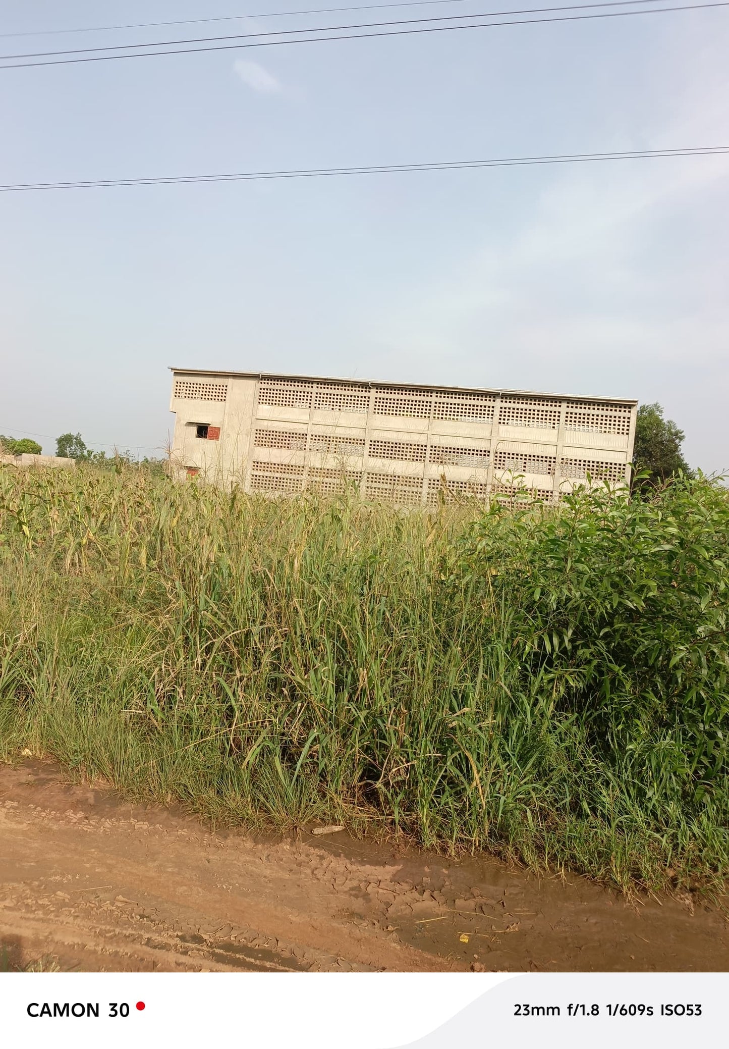 Terrain à vendre à Davié – 3500000 FCFA