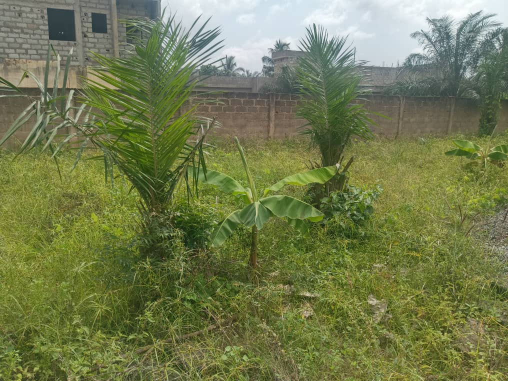 Terrain à vendre à Agoè – 30 Millions FCFA