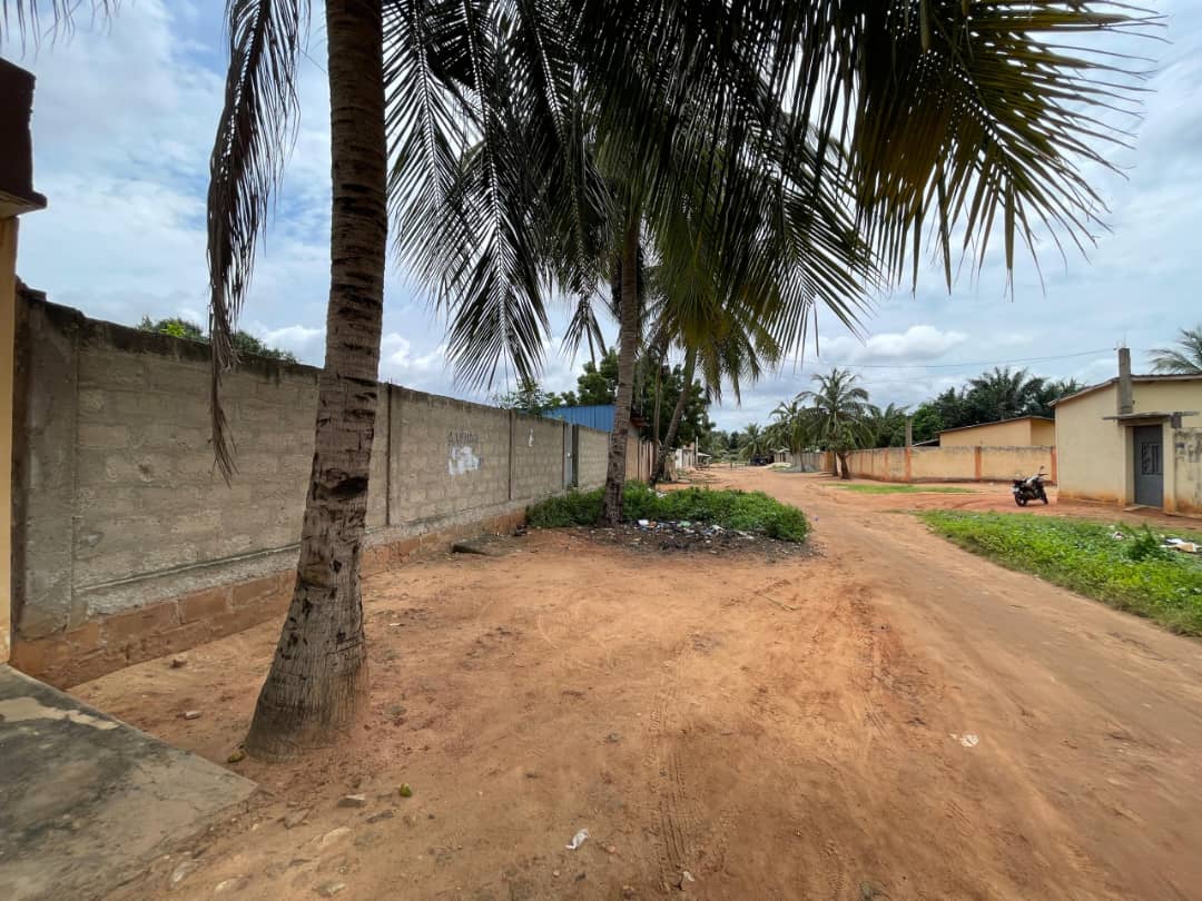 Terrain 1 lot en vente à Adidogomé Assiyéyé – 25 millions FCFA