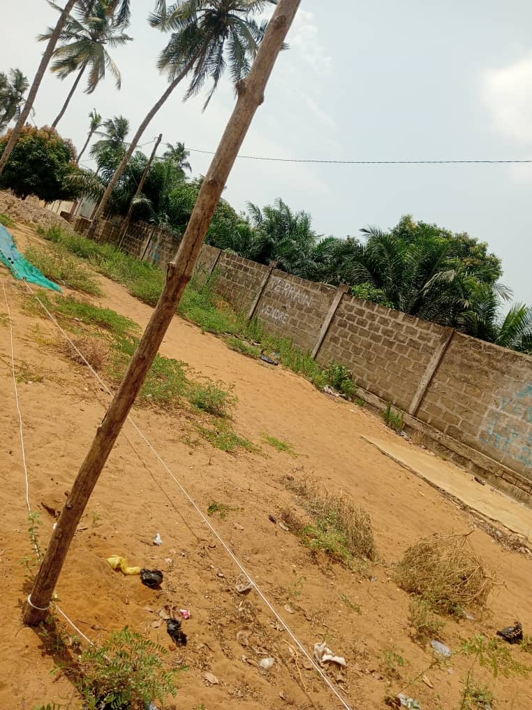 Terrain en vente à Togokomé (Aného) – 4,5 millions FCFA