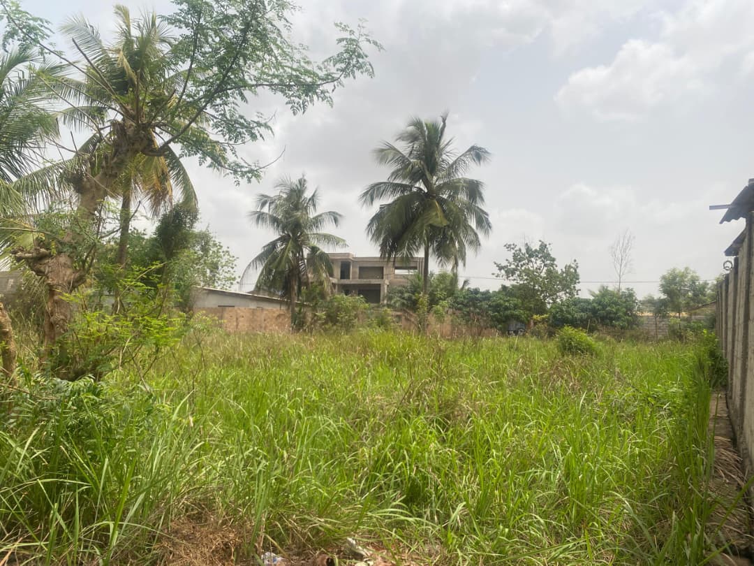 3 lots en vente à Akato Viepe – 18 millions FCFA le lot