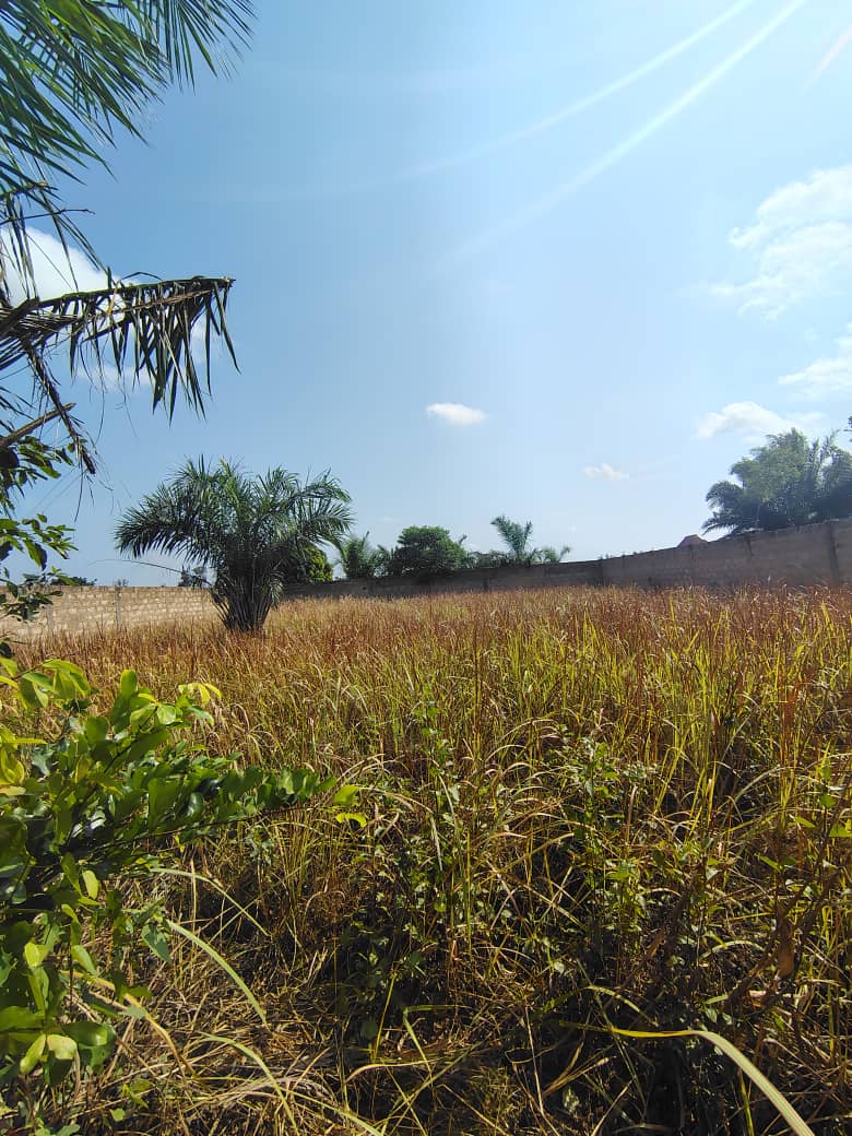 Terrain 1 lot en vente à Agoè Legbassito Zovadjin – 25 millions FCFA