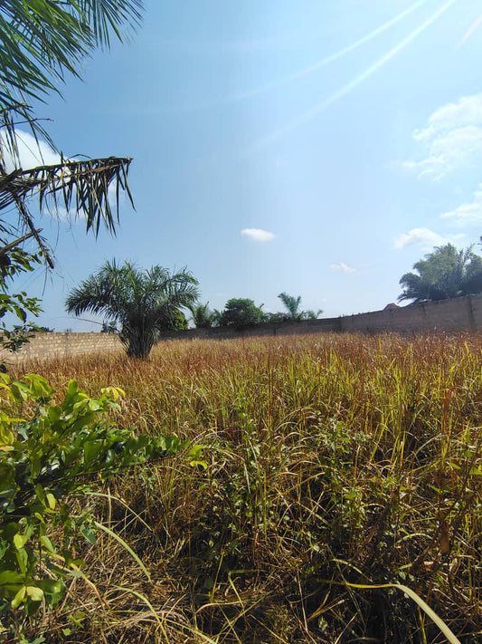 Terrain 1 lot en vente à Agoè Legbassito Zovadjin – 25 millions FCFA