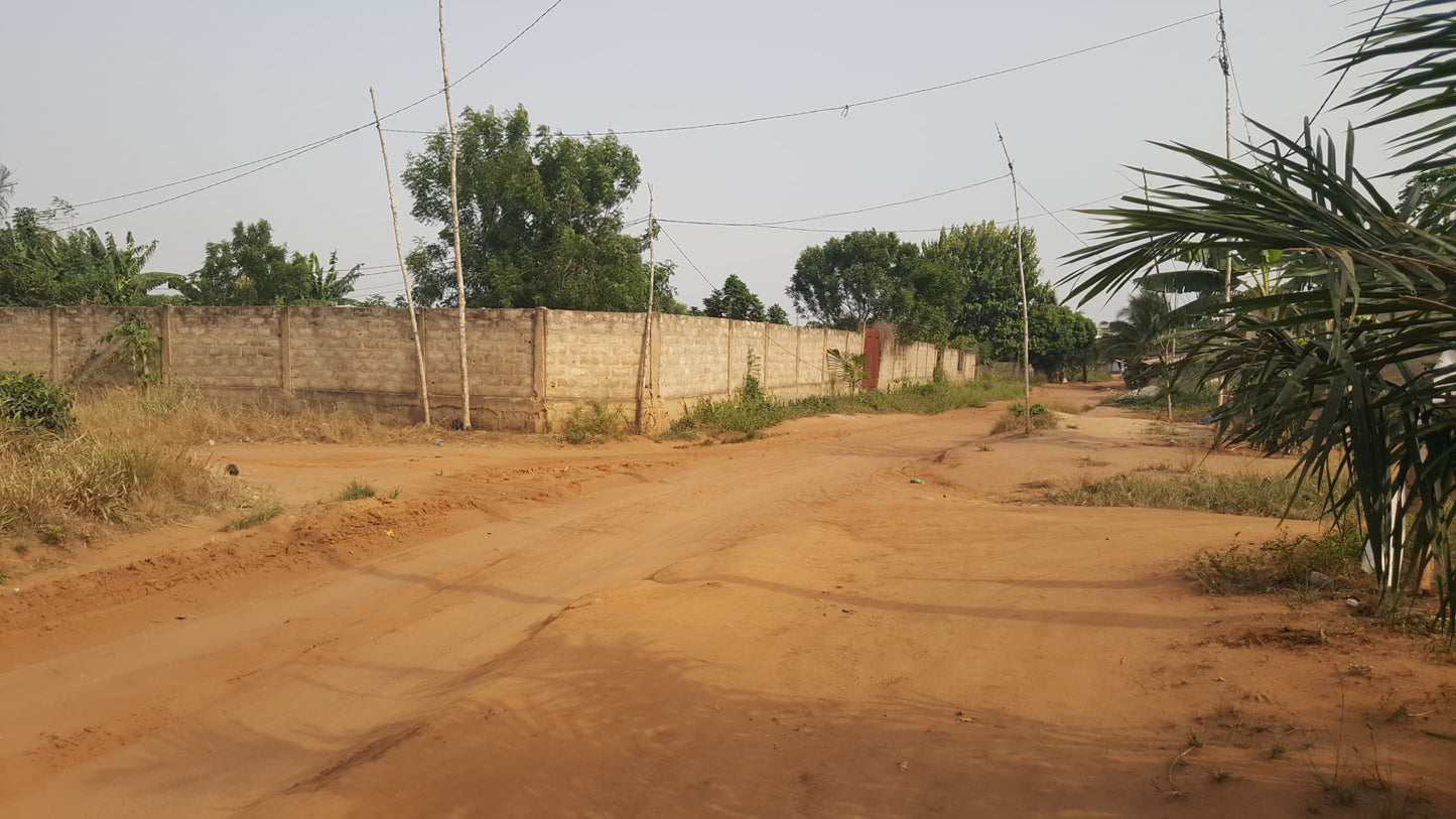 Terrain de 2 lots en vente en angle de rue à Zanguéra – 18 millions FCFA