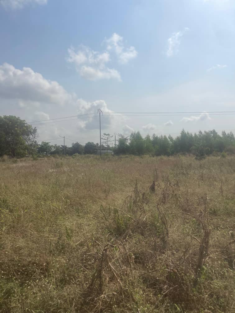 Terrain de 1200 m² en vente en bord du goudron à Aného – Prix à partir de 11 millions FCFA le lot