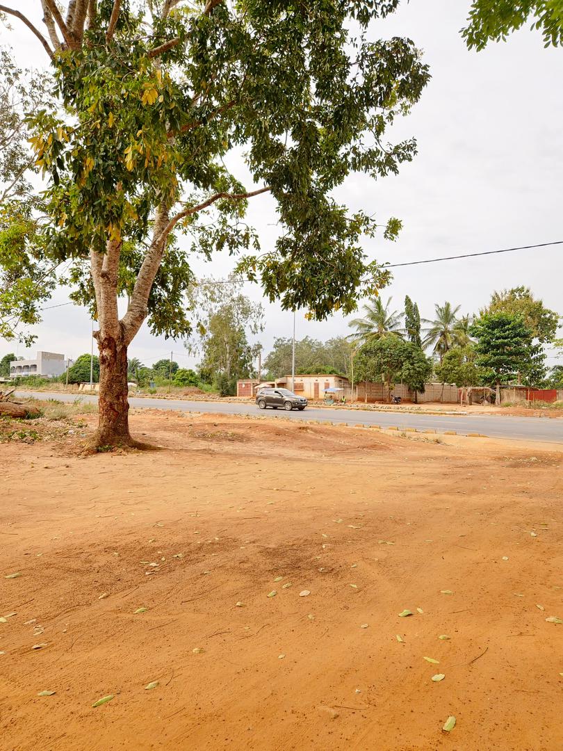 Lots de terrains à vendre à Noepé – 8.5 millions FCFA le lot