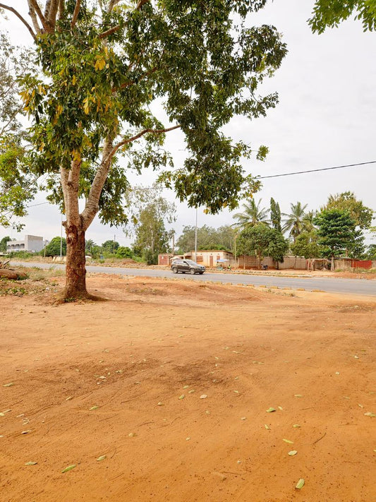 Lots de terrains à vendre à Noepé – 8.5 millions FCFA le lot