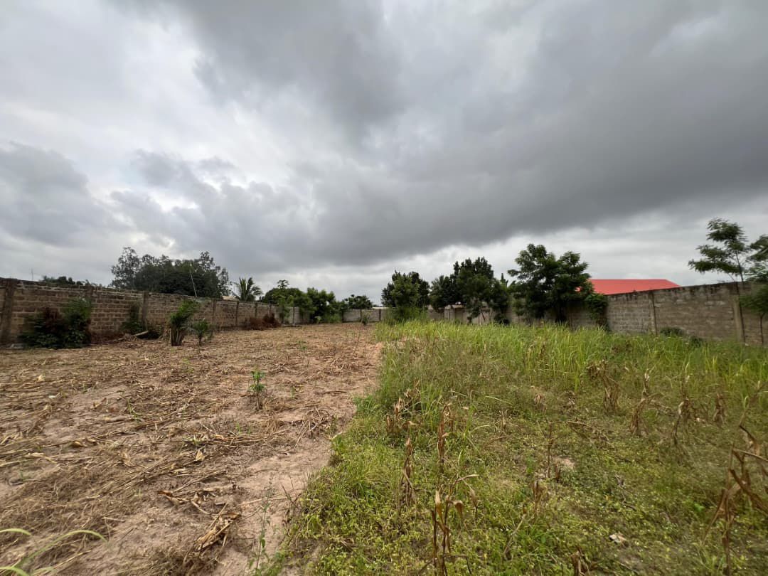 Terrain de 1500 m² en vente à Zanguéra Klikamé – 55 millions FCFA