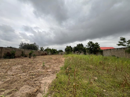 Terrain de 1500 m² en vente à Zanguéra Klikamé – 55 millions FCFA
