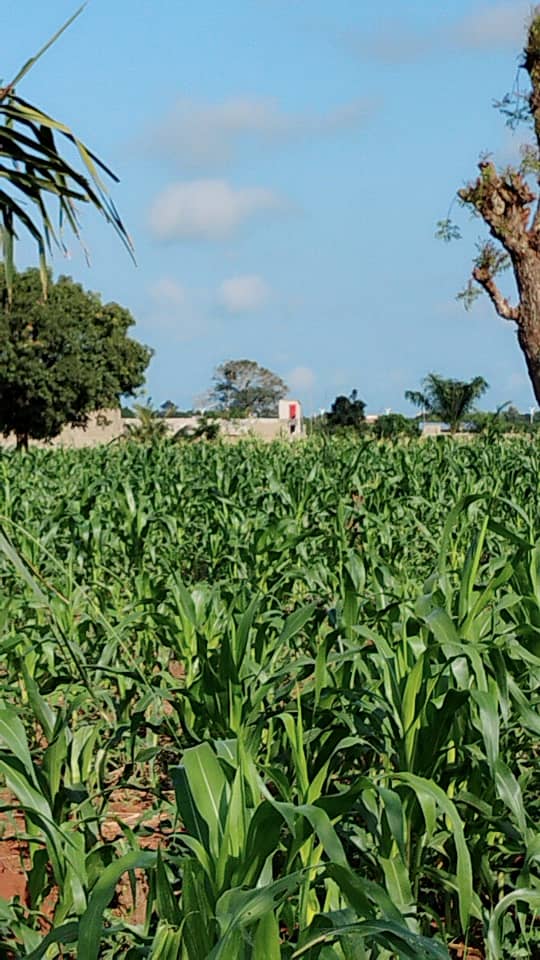 Terrain 1 lot avec titre foncier global en vente à Aképé – 10 millions FCFA