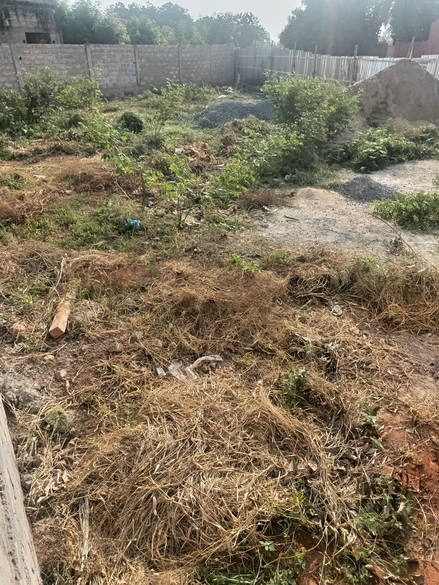 Terrain de 300 m² en vente en angle de rue à Ségbé – 18 000 000 FCFA