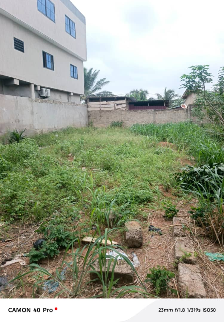 Terrain 1/2 lot (300 m²) en vente à Zanguera-Maco – 17 millions FCFA