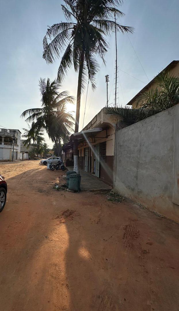 Terrain de 300 m² en vente à Léo 2000-Telessou – 28,5 millions FCFA