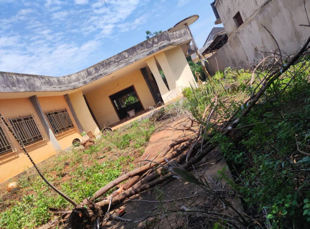 Terrain de 1429 m² en vente à Avenou – 150 millions FCFA