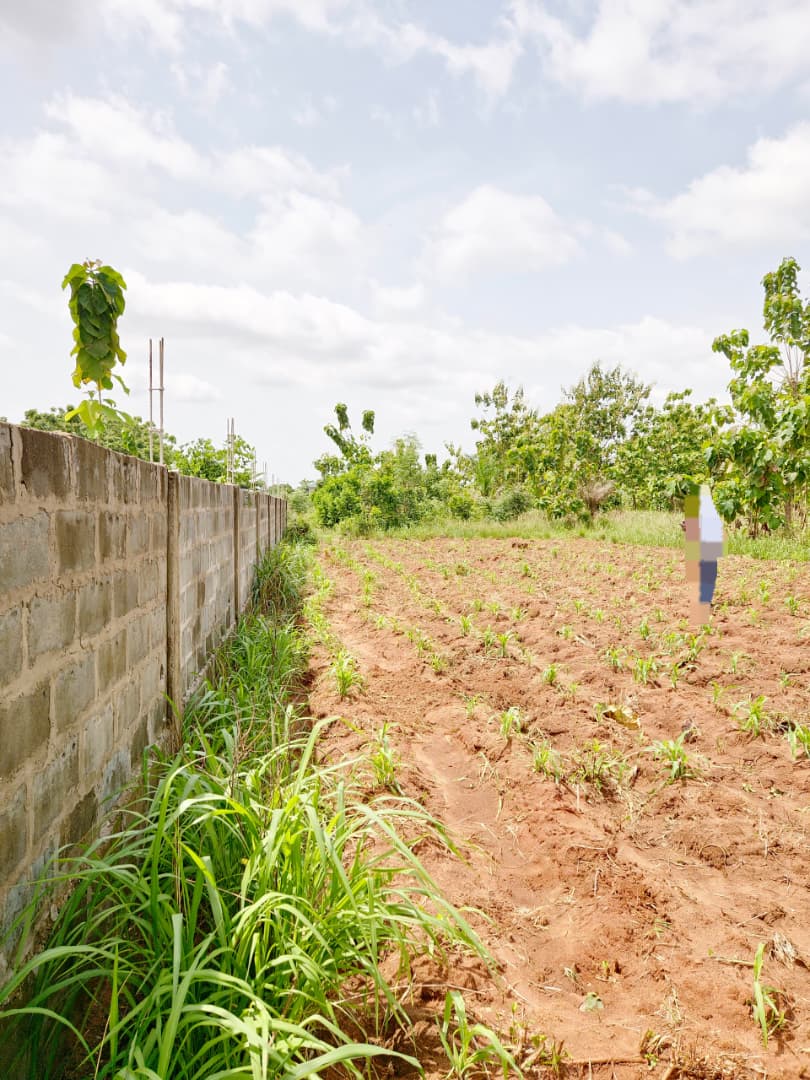 Terrain en vente à Kpala – 8.000.000 FCFA