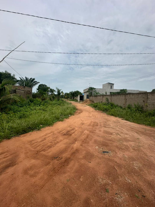 4 lots en vente à Zanguera-Aképé – 20 millions FCFA le lot